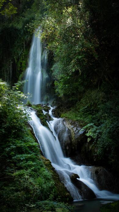 Waterfall Green Nature Pic