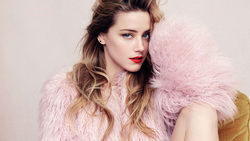 Amber Heard Hollywood Actress Wallpaper