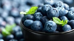 Blueberry Fruit HD Wallpaper