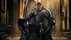 Chadwick Boseman Photo in Black Panther