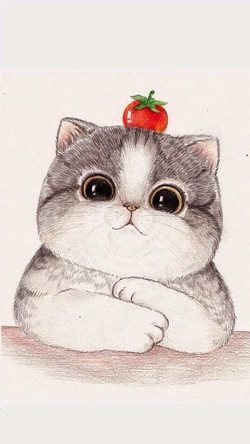 Chubby Kitty With Tomato Drawing