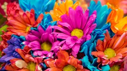 Colorful Flowers 4K