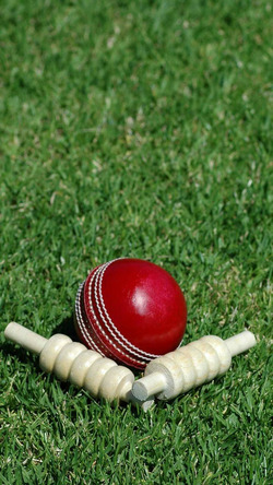 Cricket Ball and Stump Bells