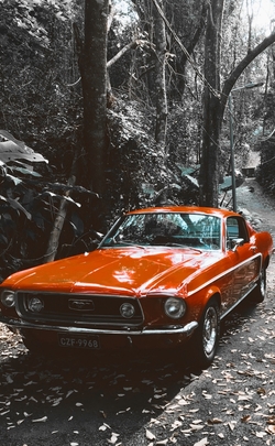 Ford Mustang Orange Car