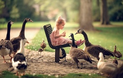 Geese Birds Around Cute Girl