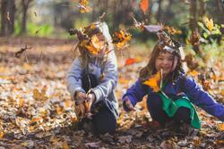 Girls Playing With Leaves hd Wallpaper