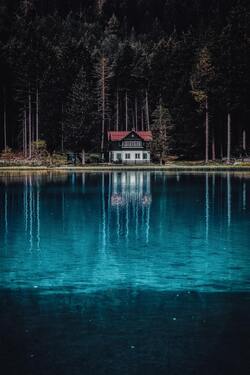 House in Front or Lake in Forest