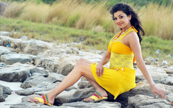 Kajal Aggarwal In Yellow Dress Photography