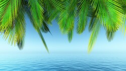 Palm Tree Leave Over Sea