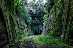 Rail Track Between Nature Forest