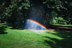 Rainbow in Garden Photo