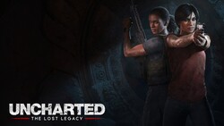 Uncharted Video Game 4K Photo