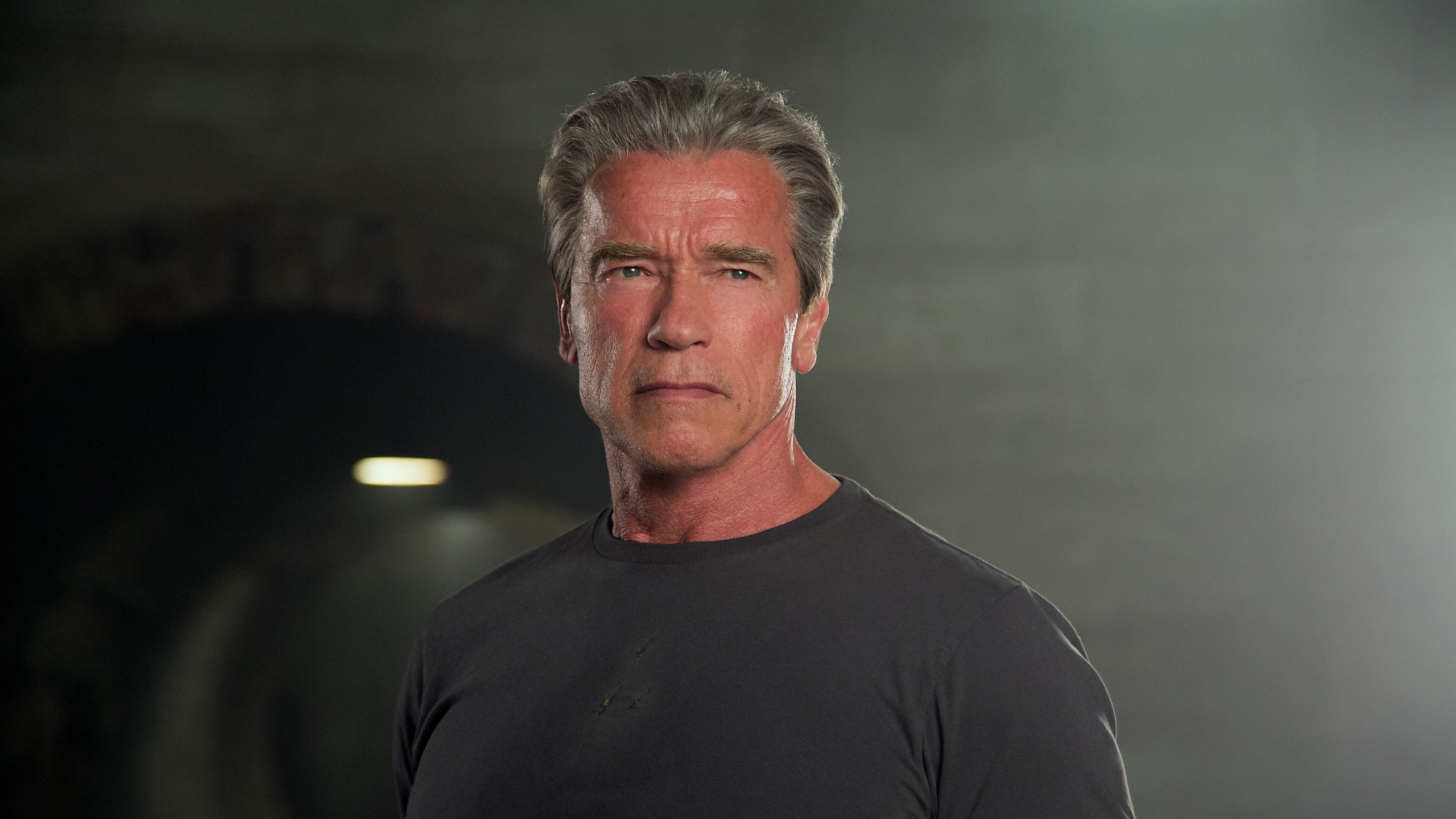 arnold cinema movies arnold cinema movies