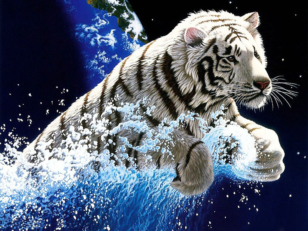 Animated Leaping White Tiger | 1024x768 resolution wallpaper