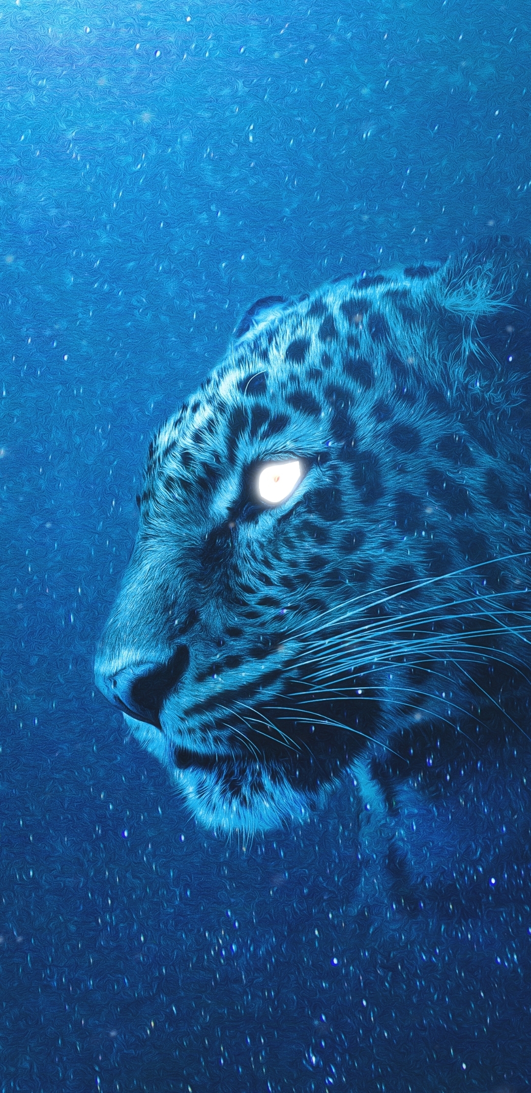 Leopard Blue Background Photo | Wallpapers Share