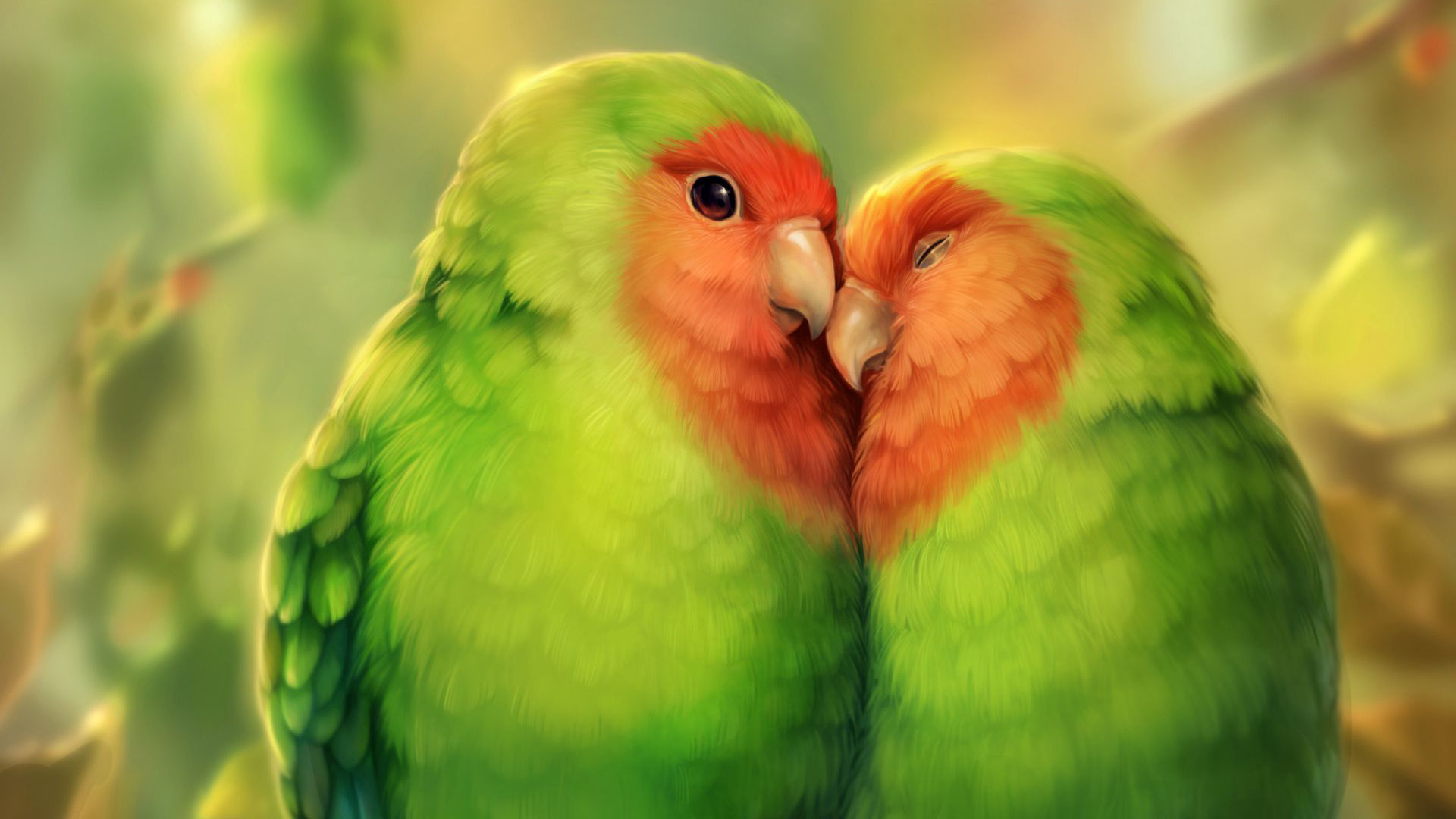 HD parrot couple wallpapers  Peakpx