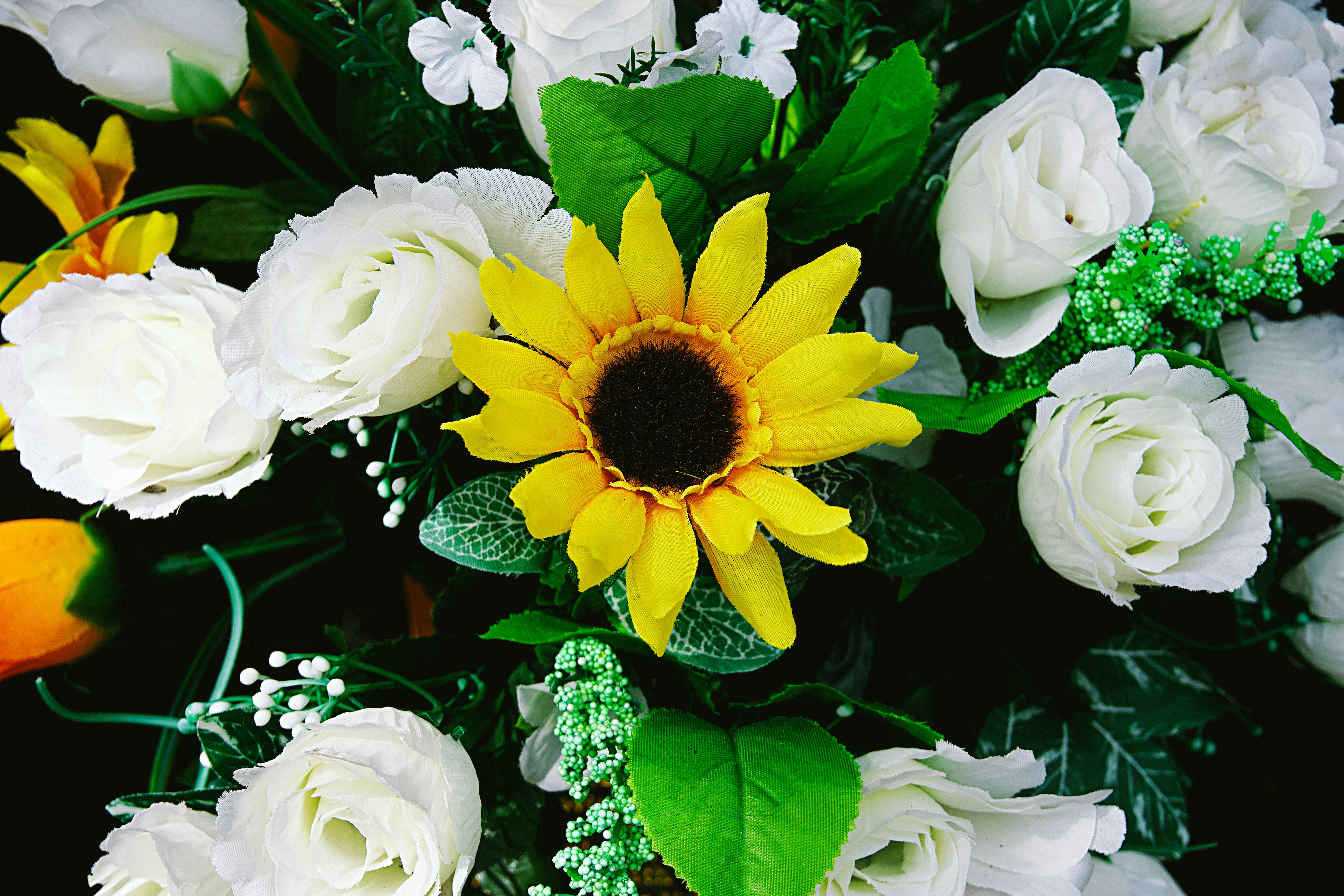 Premium Photo  Roses and sunflowers