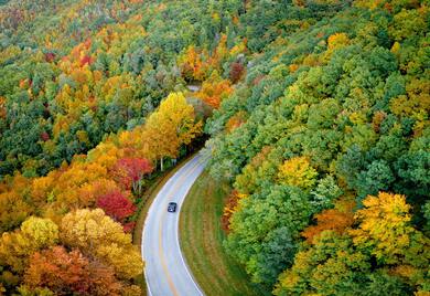 A Car and Road Between Nature Arial View