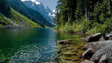 Alpine River Nature Pic