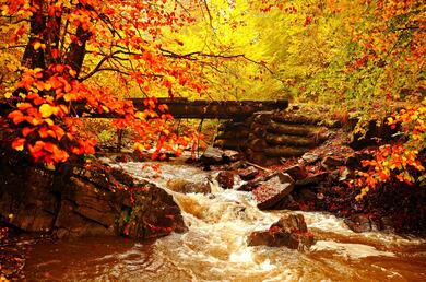 Amazing Landscape River Nature