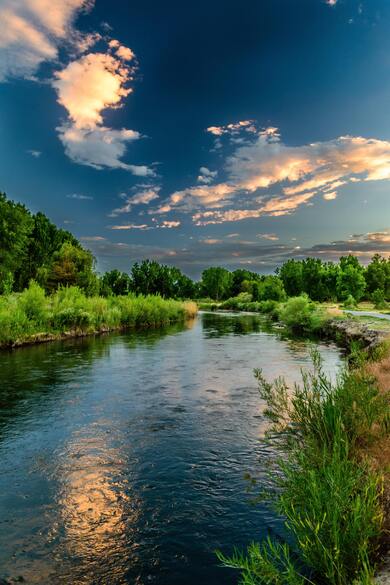 Amazing View of River From Forest