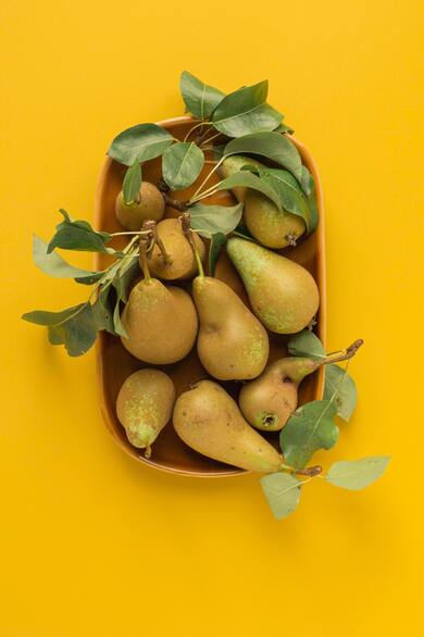 Avocado Fruit Photo