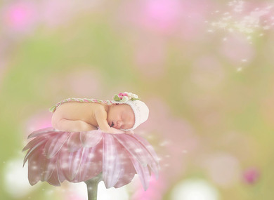 Baby Slipping on Flower Fantasy Wallpaper