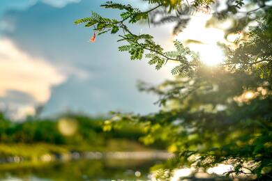 Beautiful Nature View at Sunrise