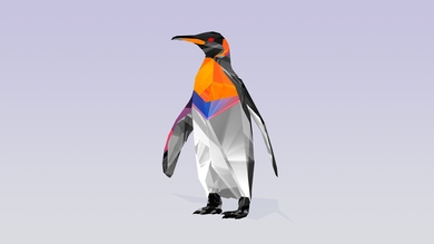 Beautiful Penguin Art 4K