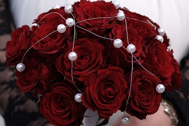 Beautiful Red Rose Bookey