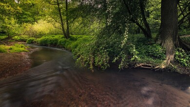 Beautiful River 4K Pic