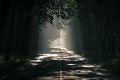 Beautiful Road in Jungle