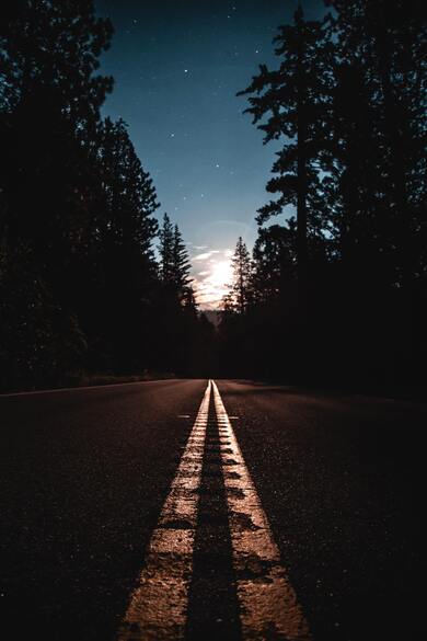 Beautiful Silent Road Between Trees at Night View