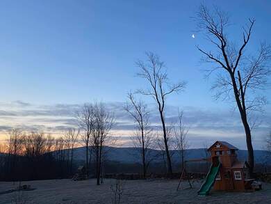 Beautiful Sky and Dry Tree