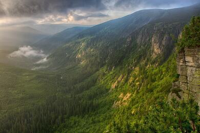 Beautiful Trees Mountain Click