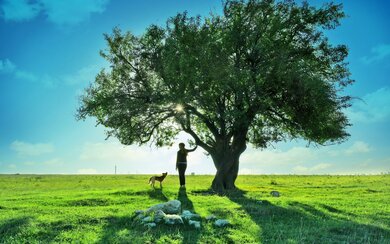 Big Tree with Dog and Girl