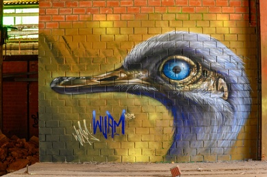 Bird Wall Painting