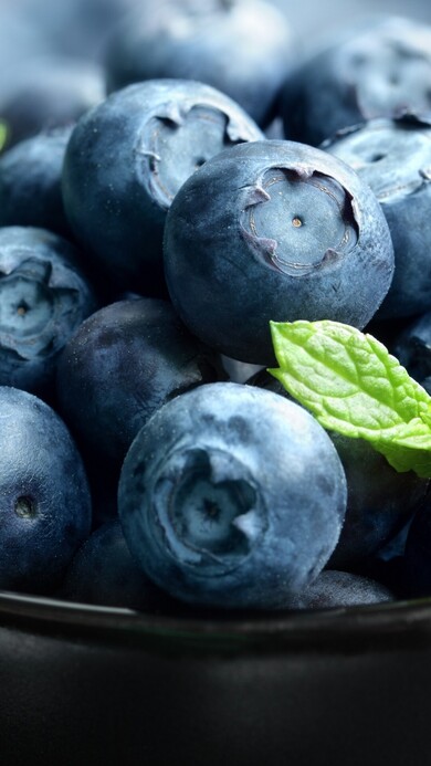 Blueberry Wallpaper