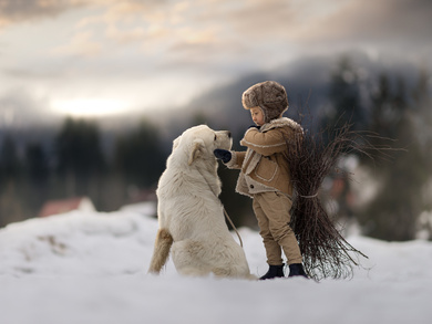 Boy Plaing with White Labrador