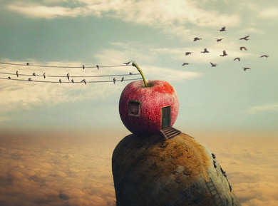 Creative Apple Photo