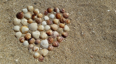 Creative Heart on Beach By Seashell