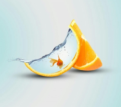Creative Orange with Fish