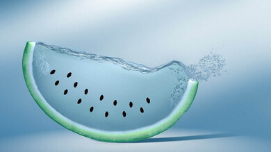 Creative Watermelon Pic