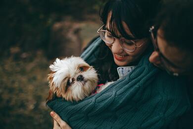 Cute Puppy Holding By Girl