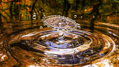 Droplet of Water Splashing Into a Puddle