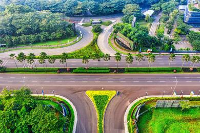 Empty Road Surrounded by Green Trees And Parks