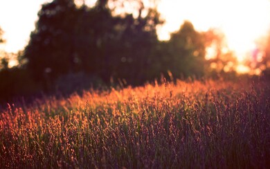 Farm And Sunset 4K Wallpaper