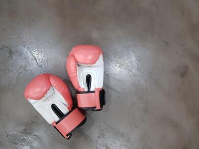 Fighting Gloves Picture
