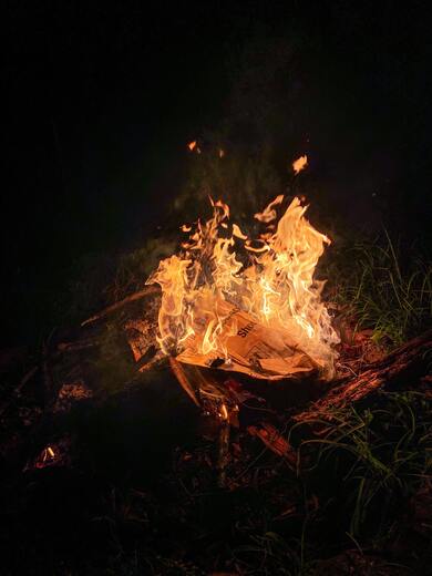 Fire in Jungle