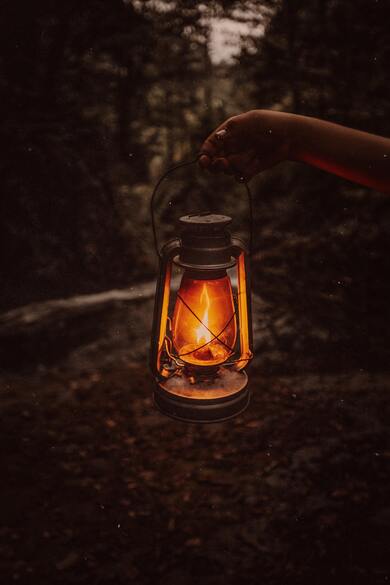 Fire Lamp in Forest
